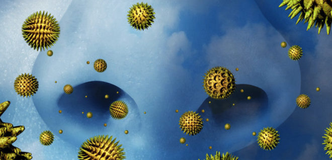 Сезонная аллергия: 5 мифов о поллинозе